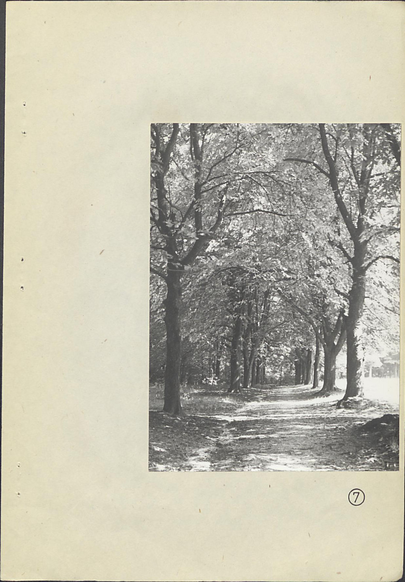 Ewidencja parkowa, skan nr 35