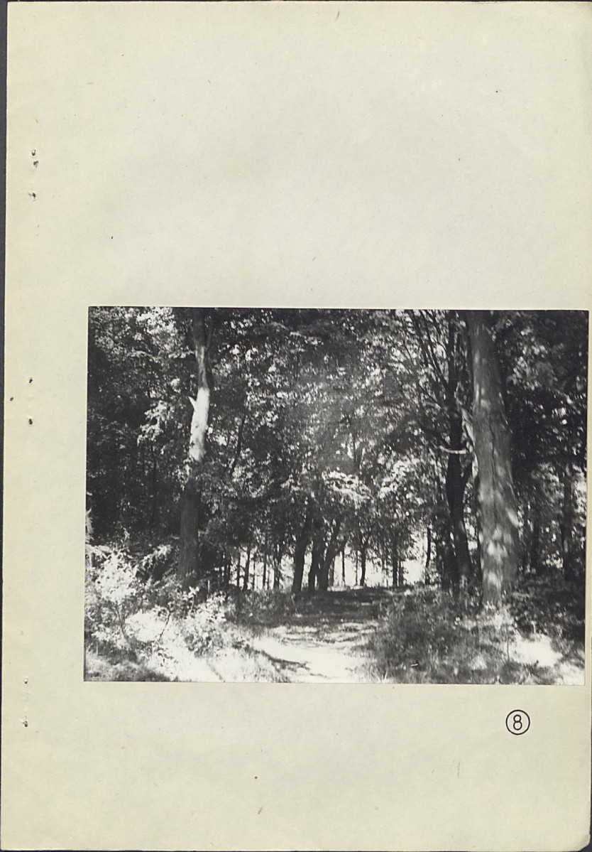 Ewidencja parkowa, skan nr 36