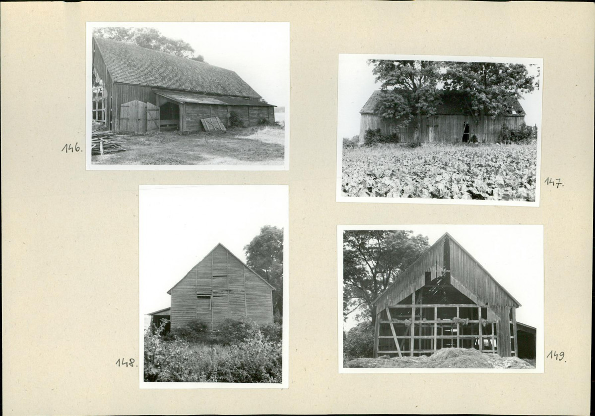 Karta biała, skan nr 59