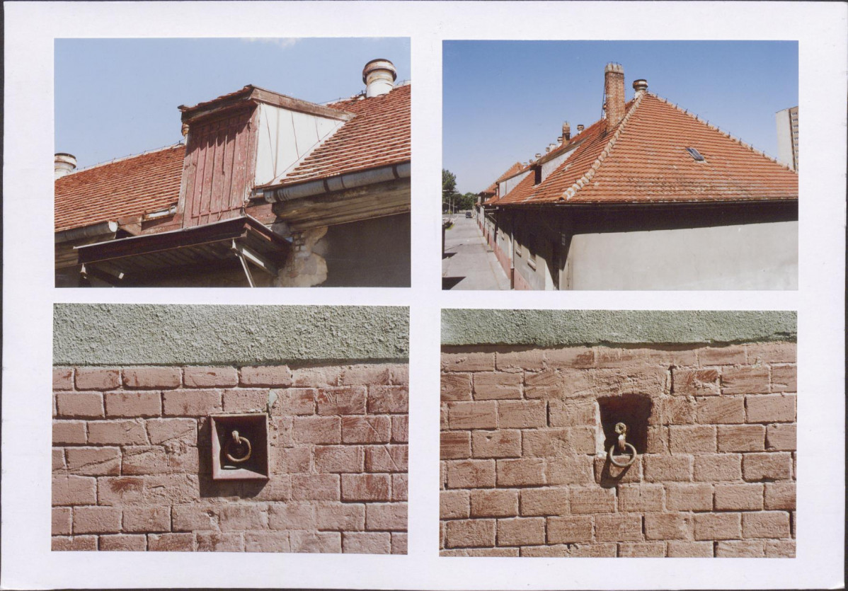 Karta biała, skan nr 8