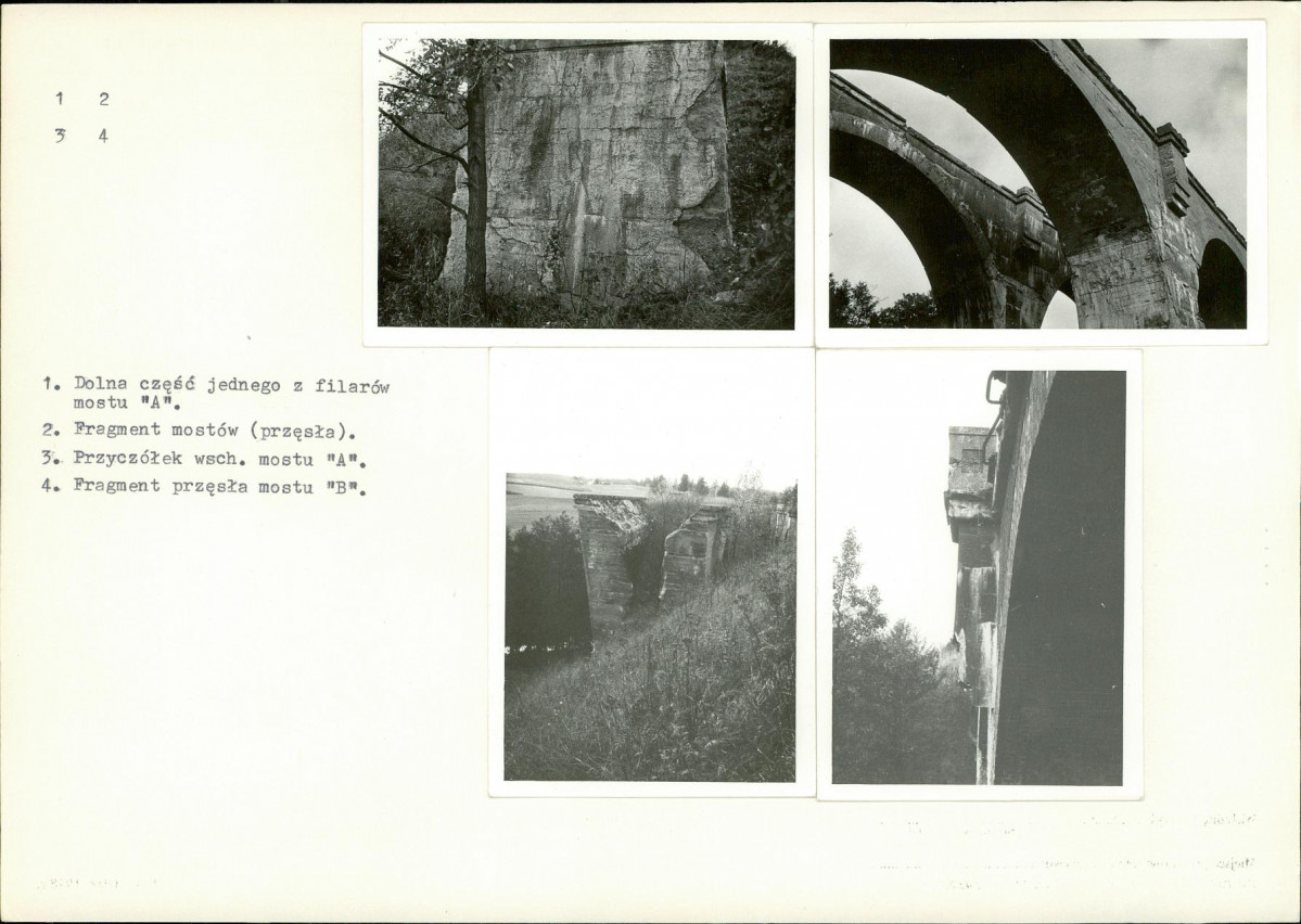 Karta biała, skan nr 7