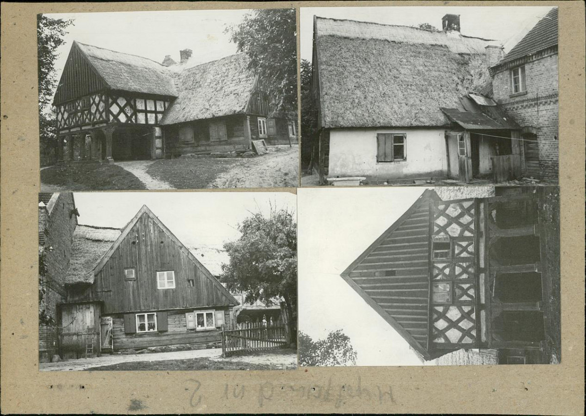 Karta zielona, skan nr 3