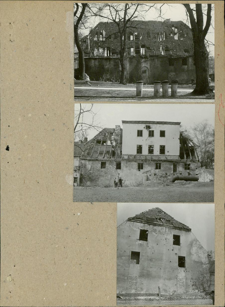 Karta zielona, skan nr 3