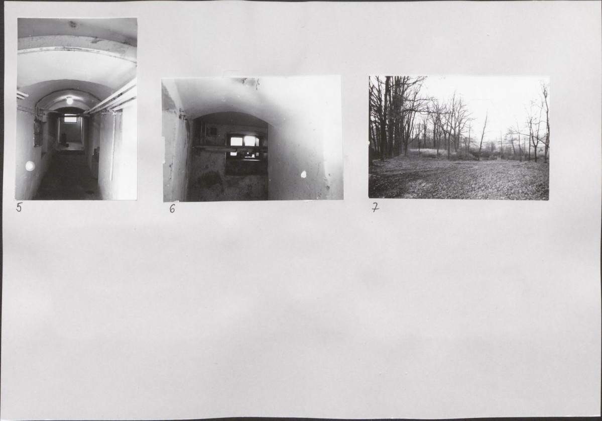 Karta biała, skan nr 7