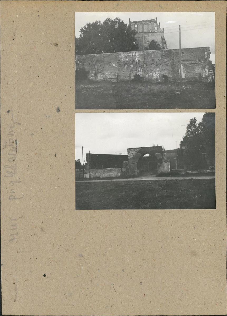 Karta zielona, skan nr 3