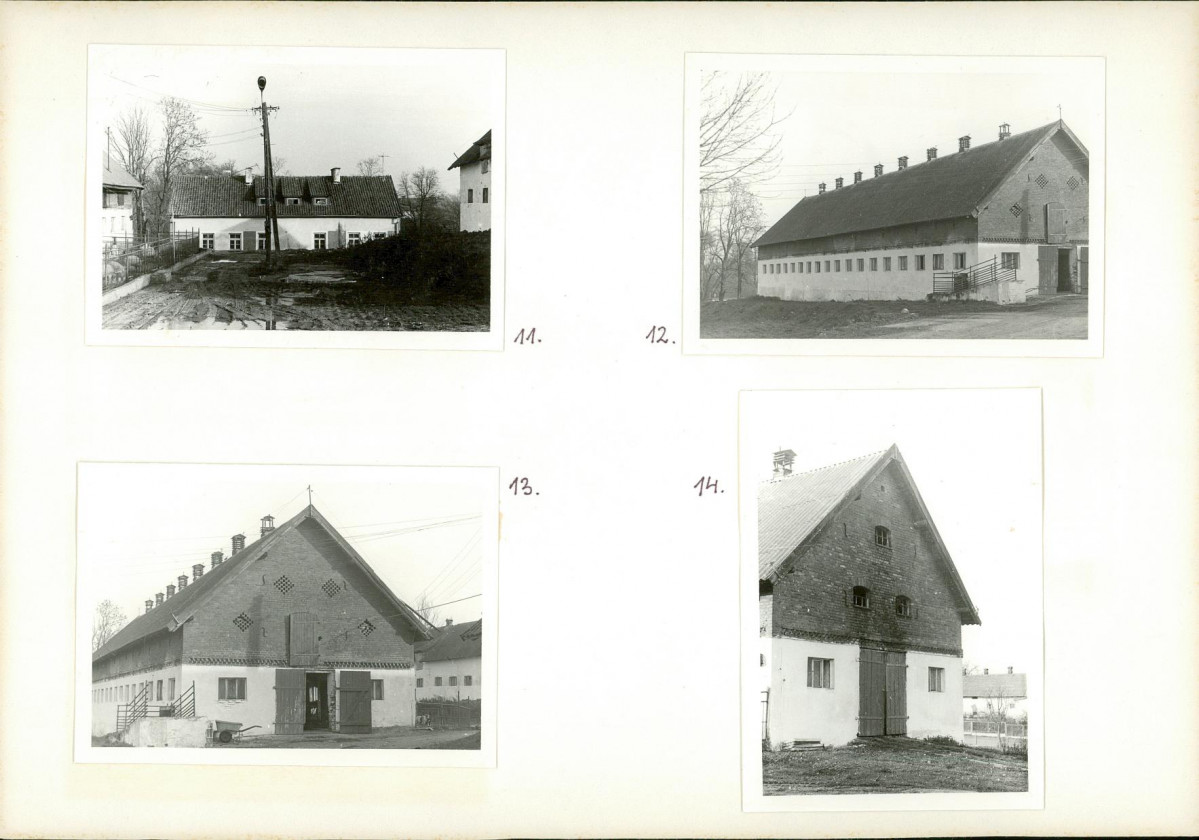 Karta biała, skan nr 10
