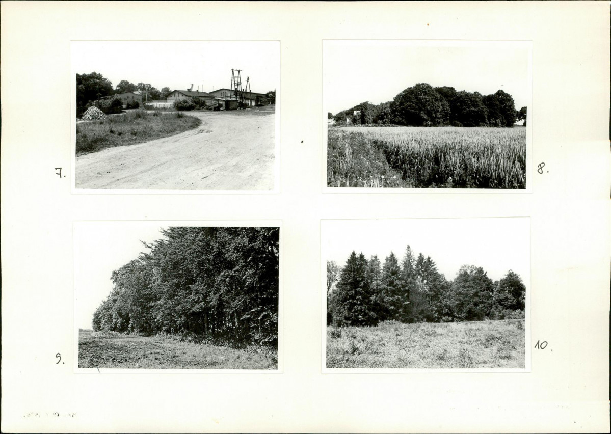 Karta biała, skan nr 10