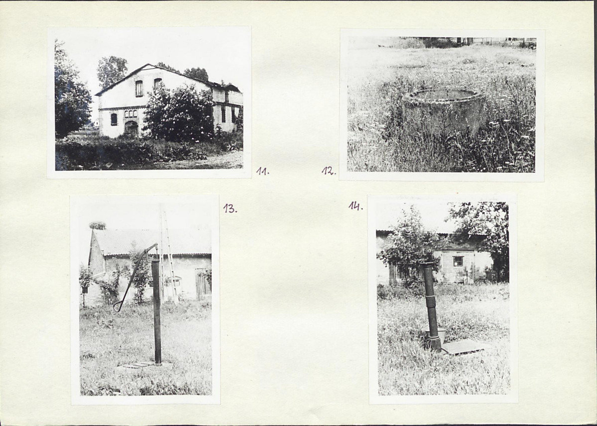 Karta biała, skan nr 10