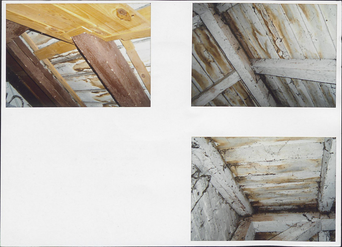 Karta biała, skan nr 12