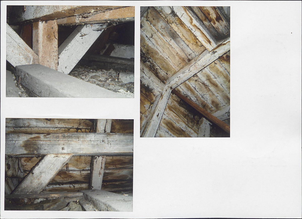 Karta biała, skan nr 12