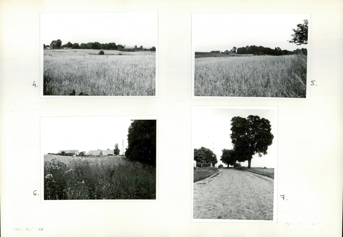 Karta biała, skan nr 10