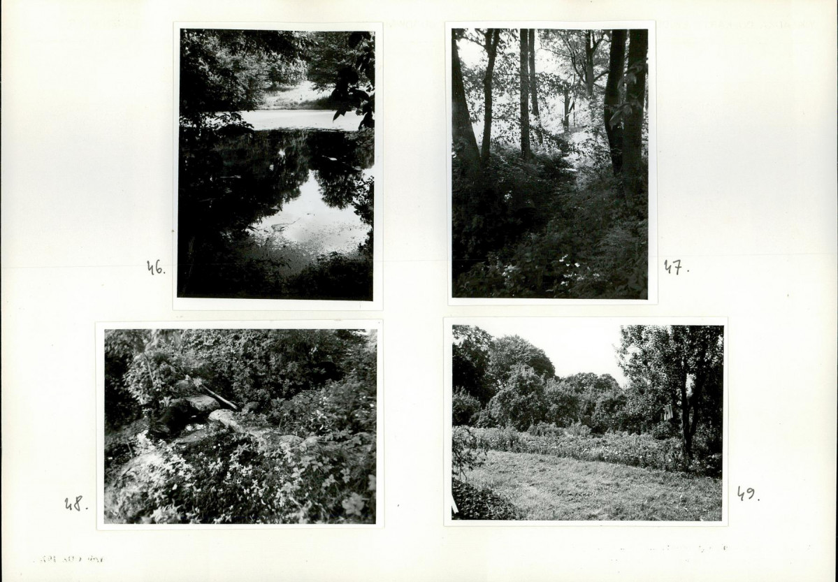 Karta biała, skan nr 22