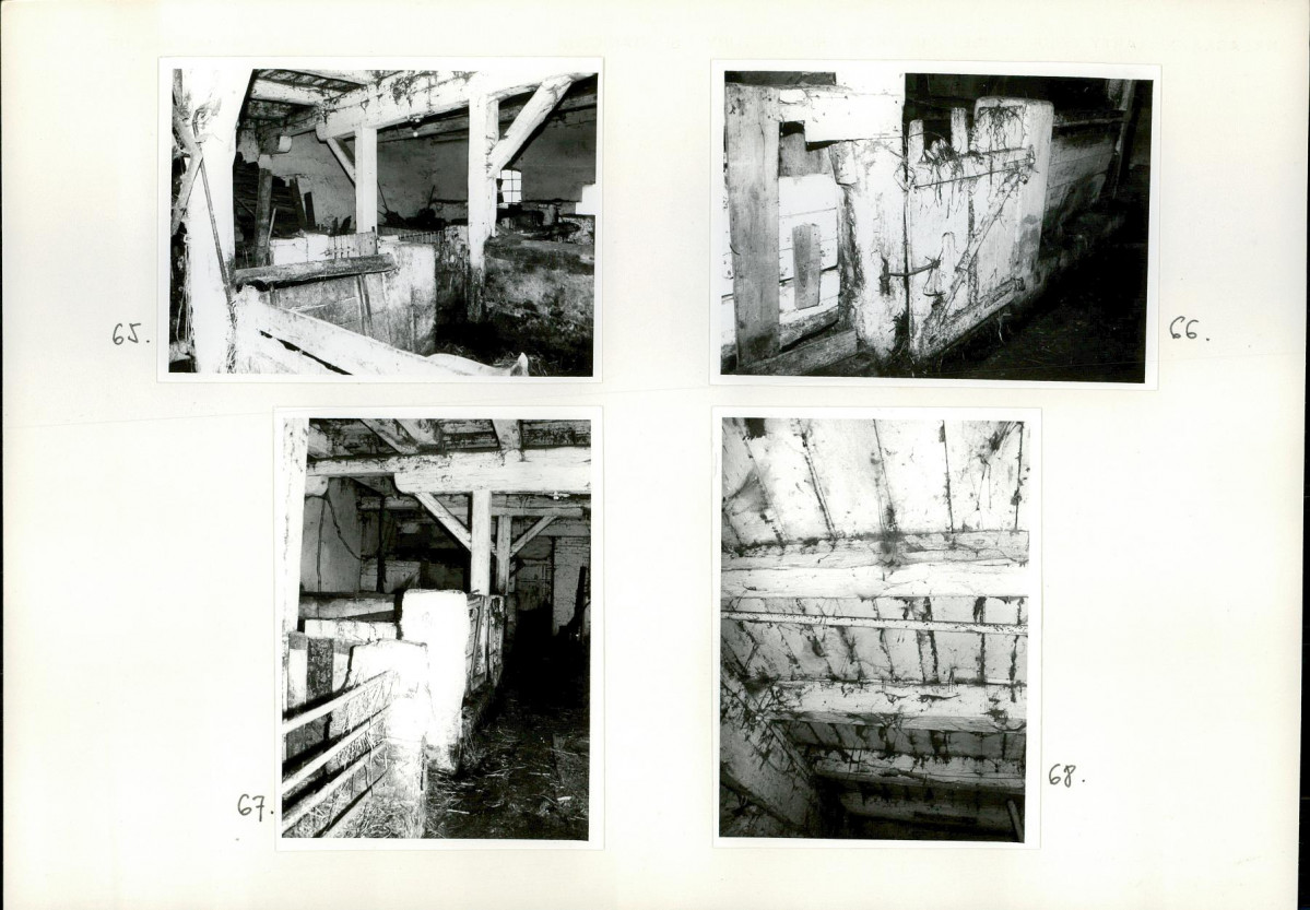 Karta biała, skan nr 29