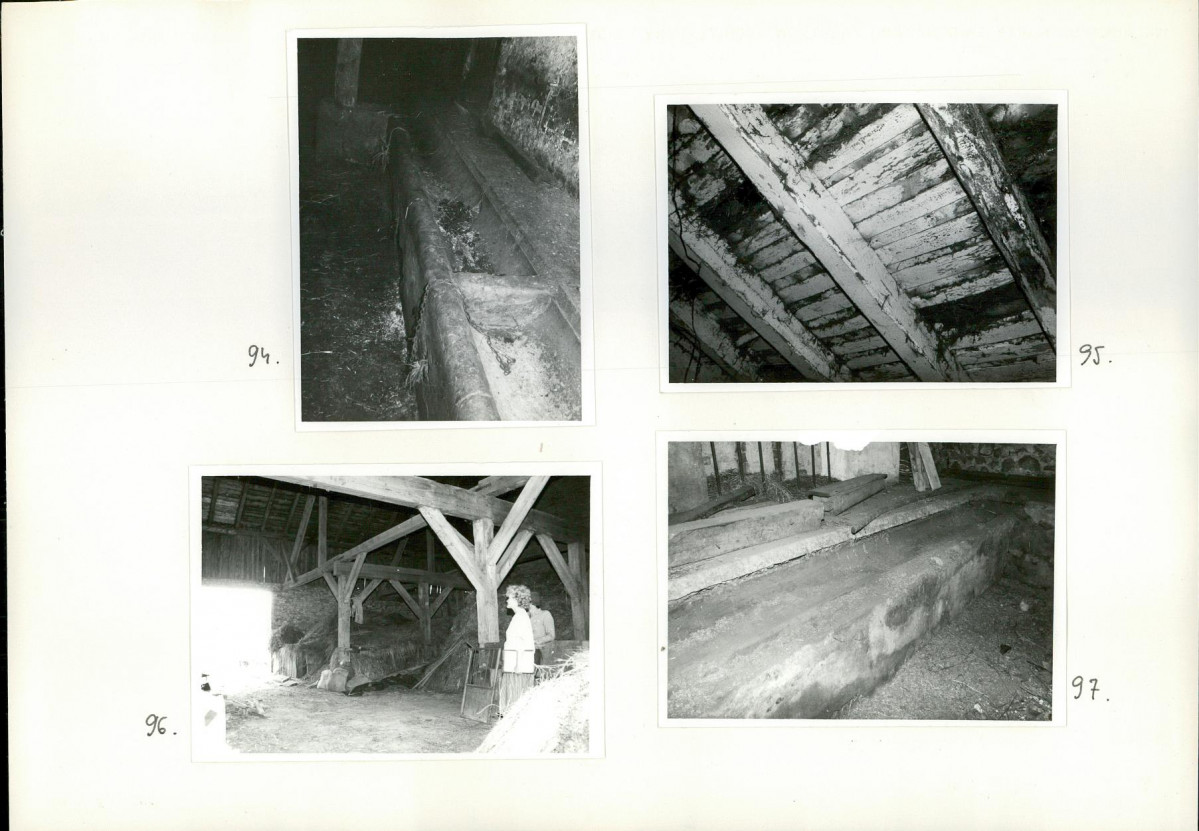 Karta biała, skan nr 39