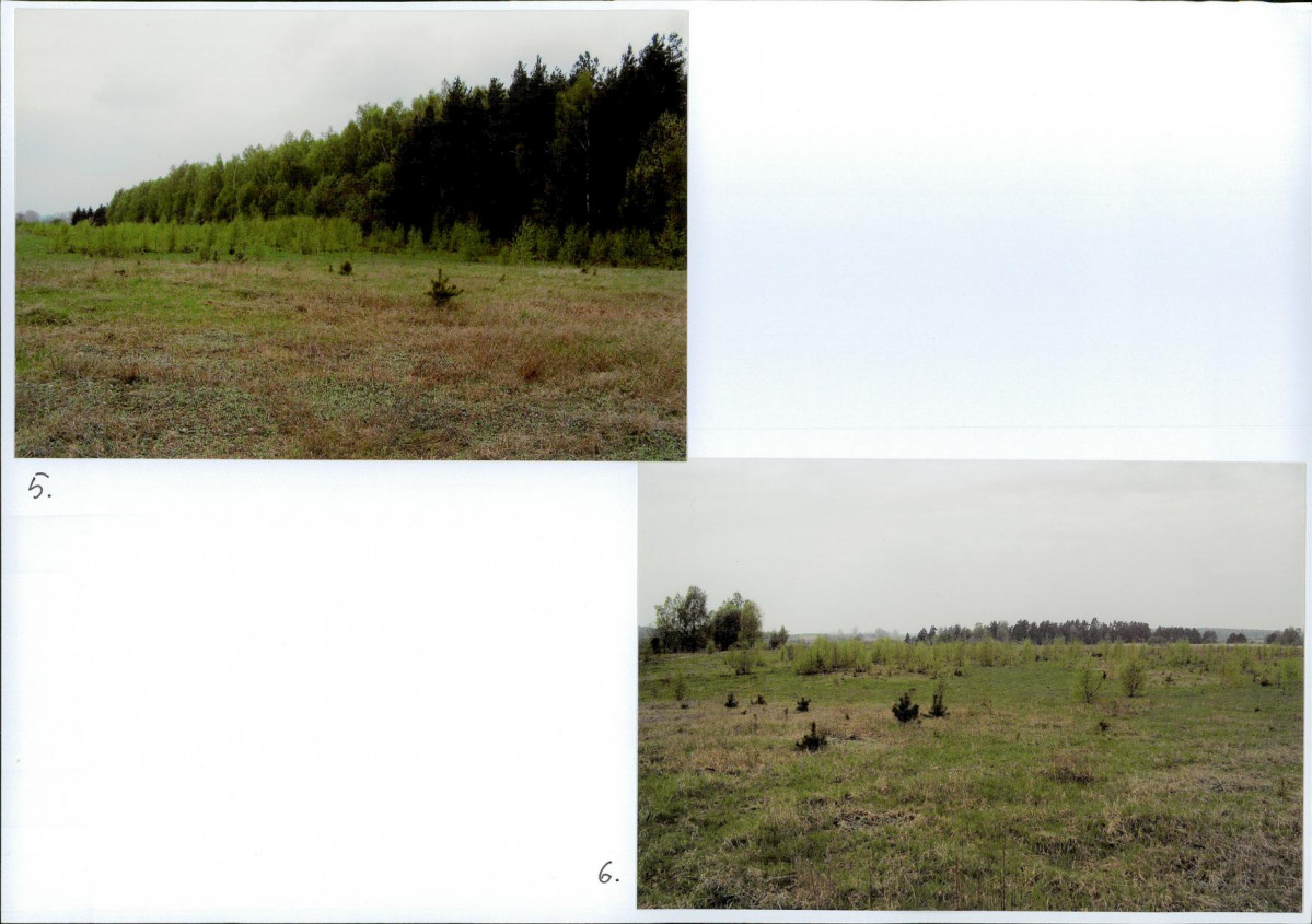 Karta biała, skan nr 22