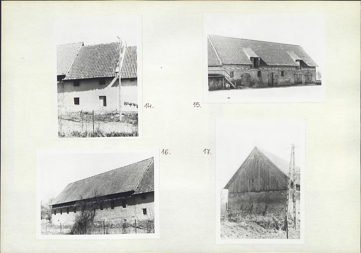 Karta biała, skan nr 12
