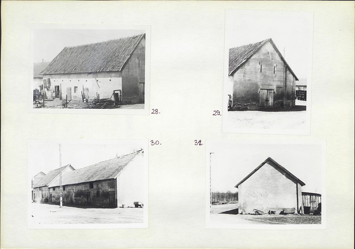 Karta biała, skan nr 16