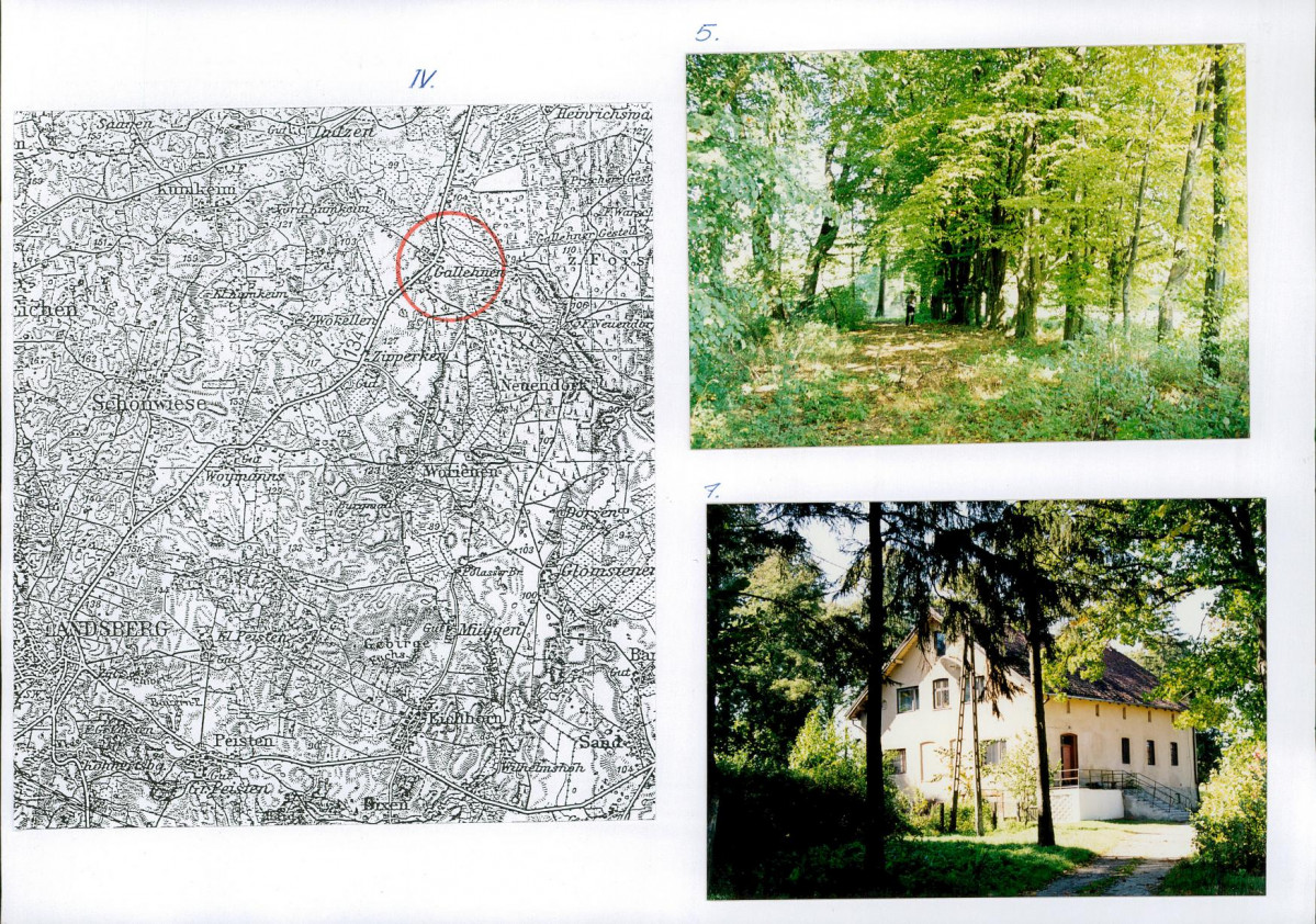 Karta biała, skan nr 10