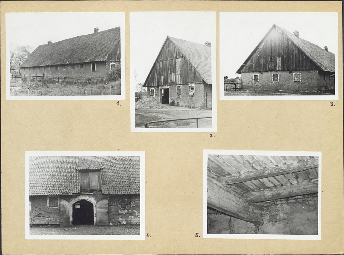Karta biała, skan nr 6