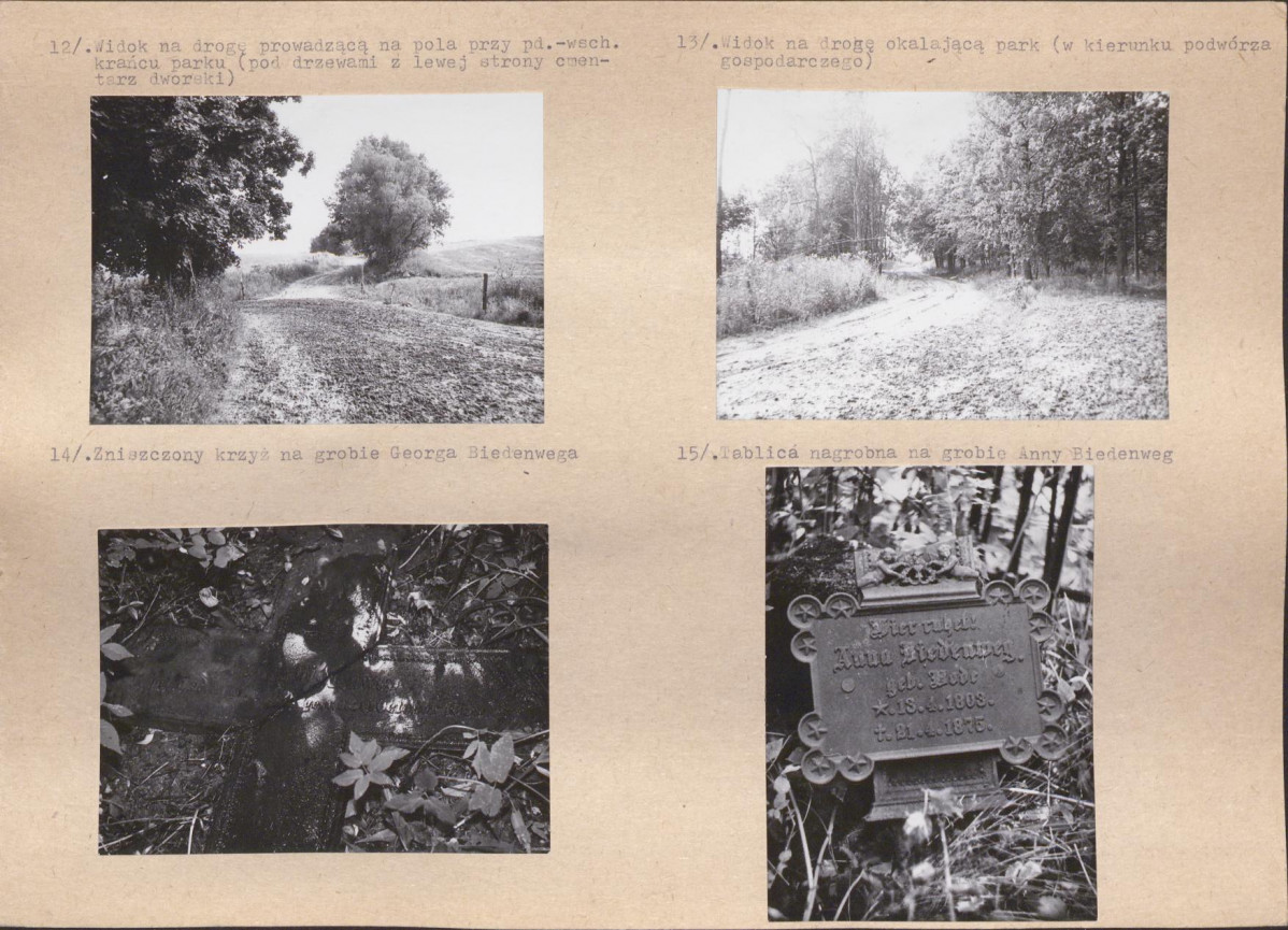 Karta biała, skan nr 10