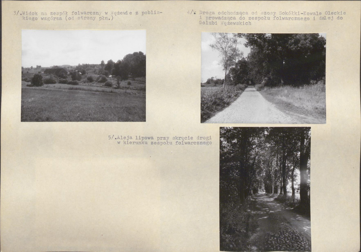 Karta biała, skan nr 8