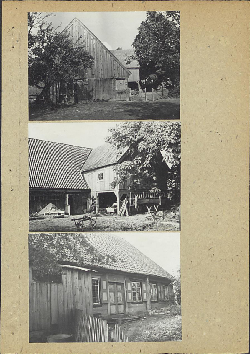 Karta zielona, skan nr 3