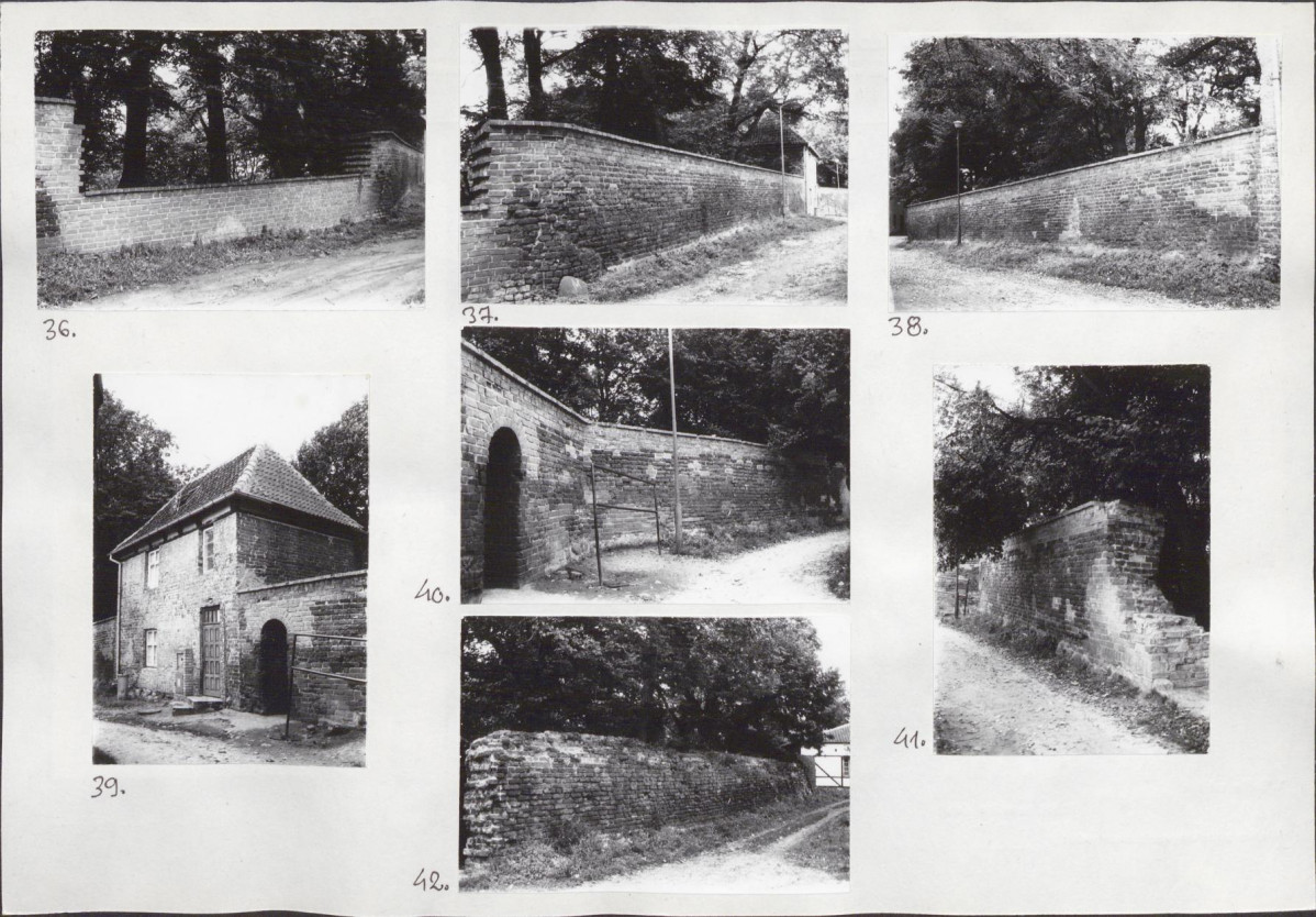 Karta biała, skan nr 18