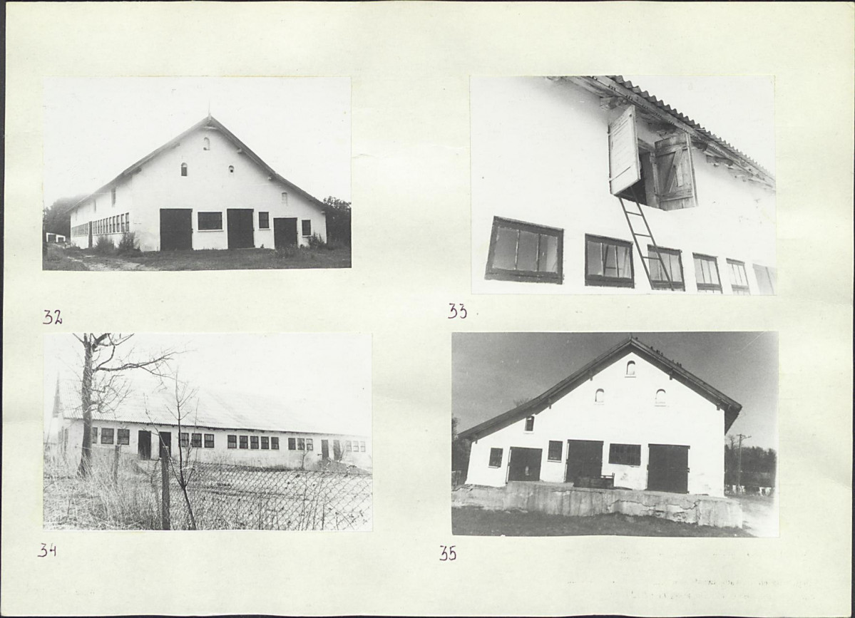 Karta biała, skan nr 20