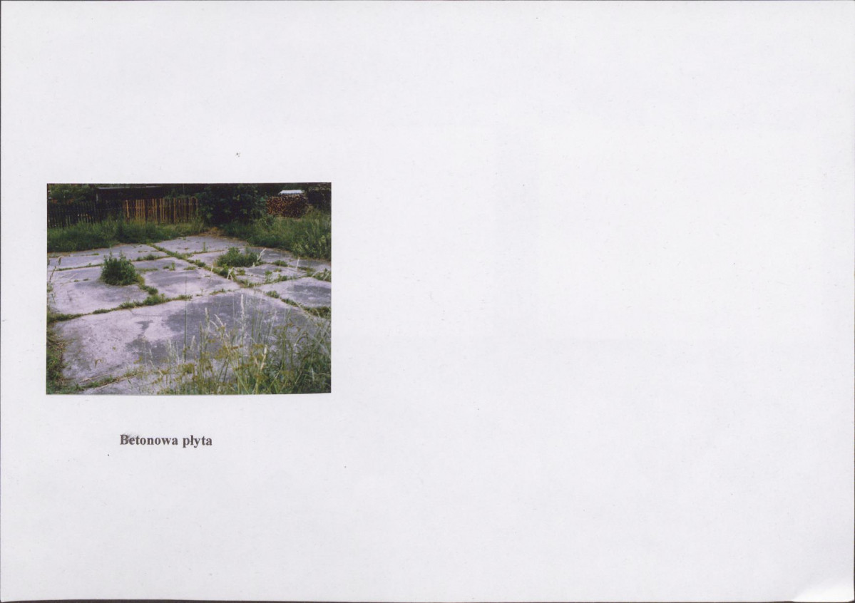 Karta biała, skan nr 8
