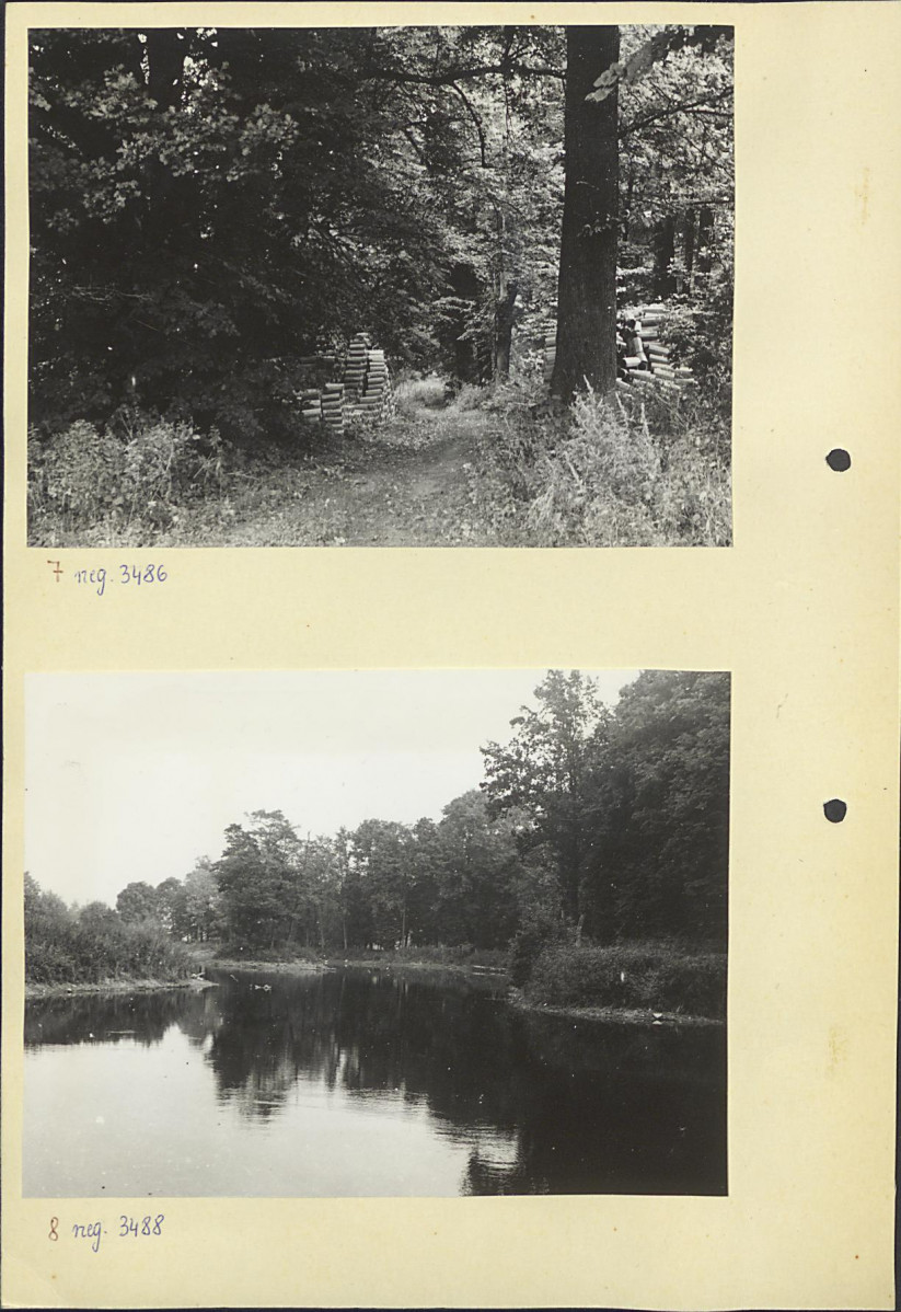 Ewidencja parkowa, skan nr 16