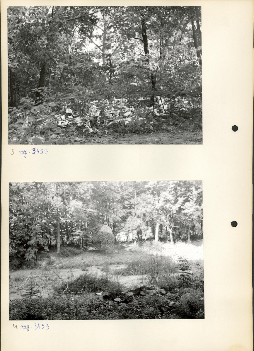 Ewidencja parkowa, skan nr 12