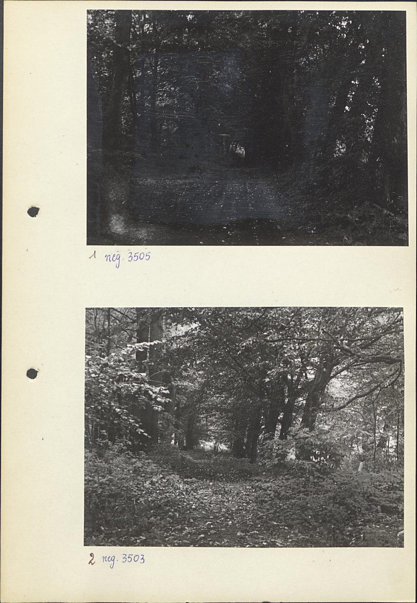 Ewidencja parkowa, skan nr 15