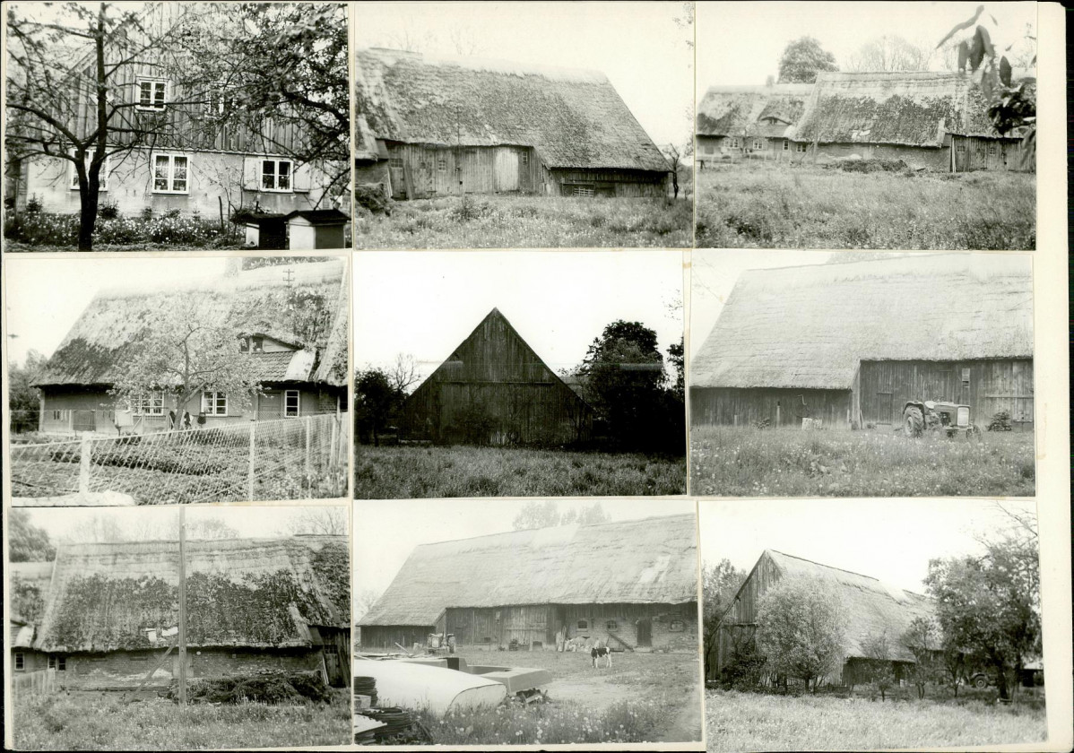 Karta biała, skan nr 6