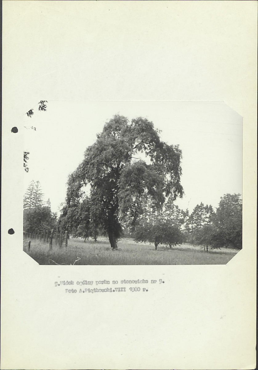 Ewidencja parkowa, skan nr 26