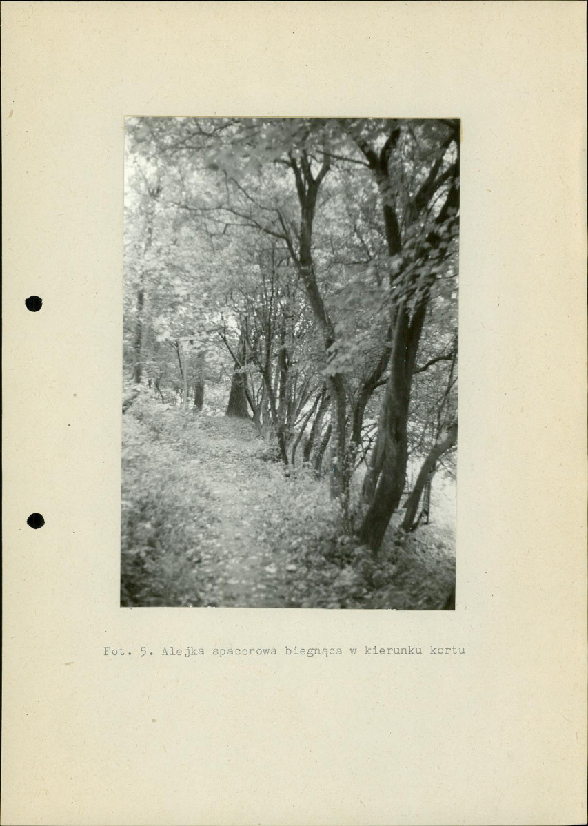 Ewidencja parkowa, skan nr 26