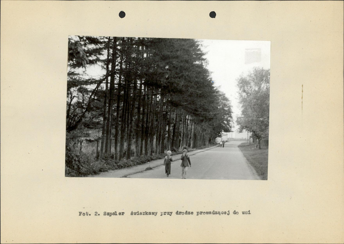 Ewidencja parkowa, skan nr 23