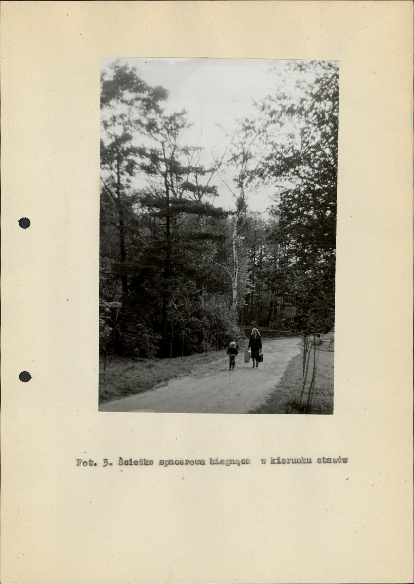 Ewidencja parkowa, skan nr 24