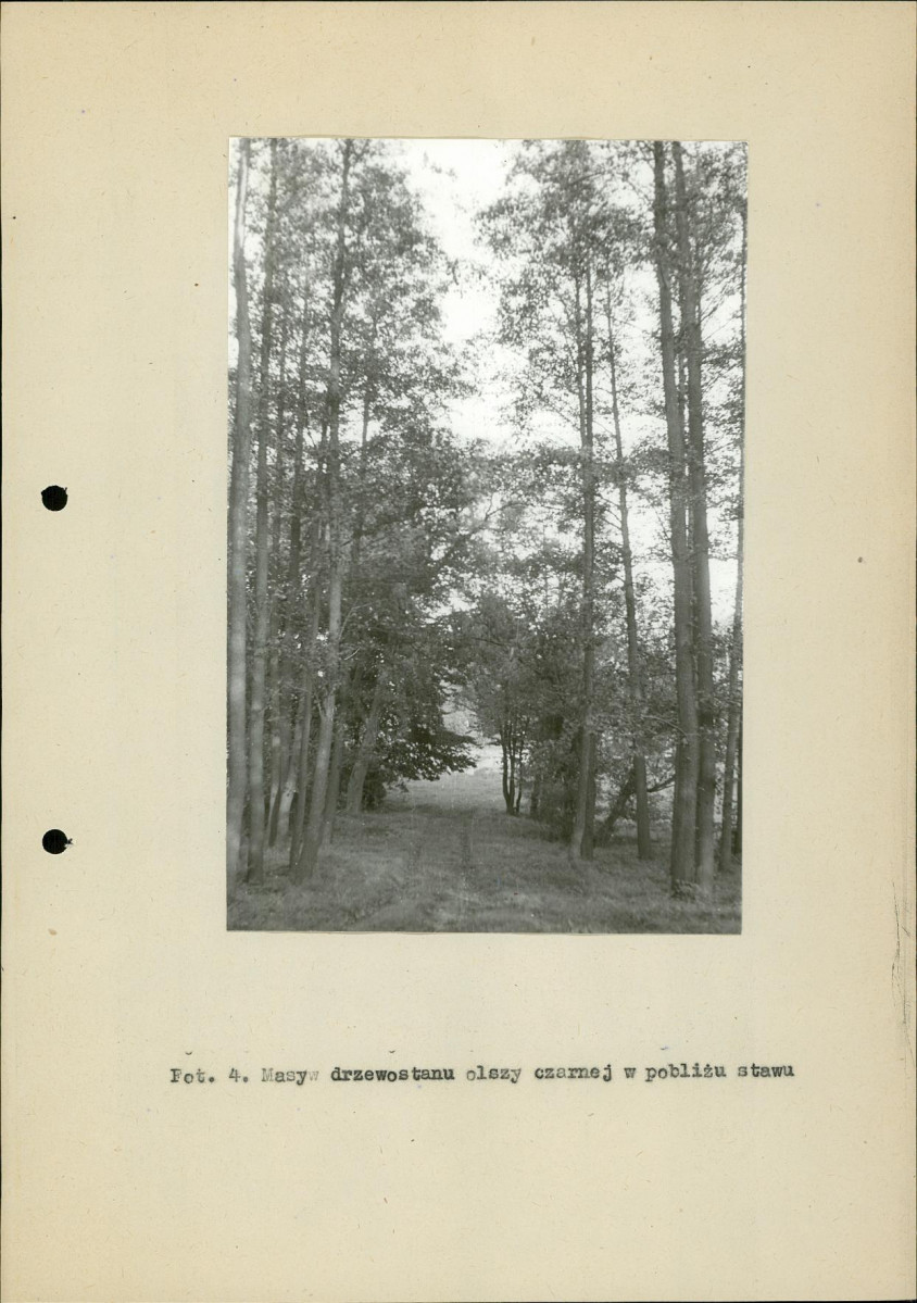 Ewidencja parkowa, skan nr 25