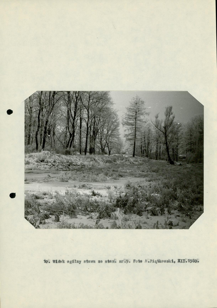 EP - Ewidencja parkowa, skan nr 29