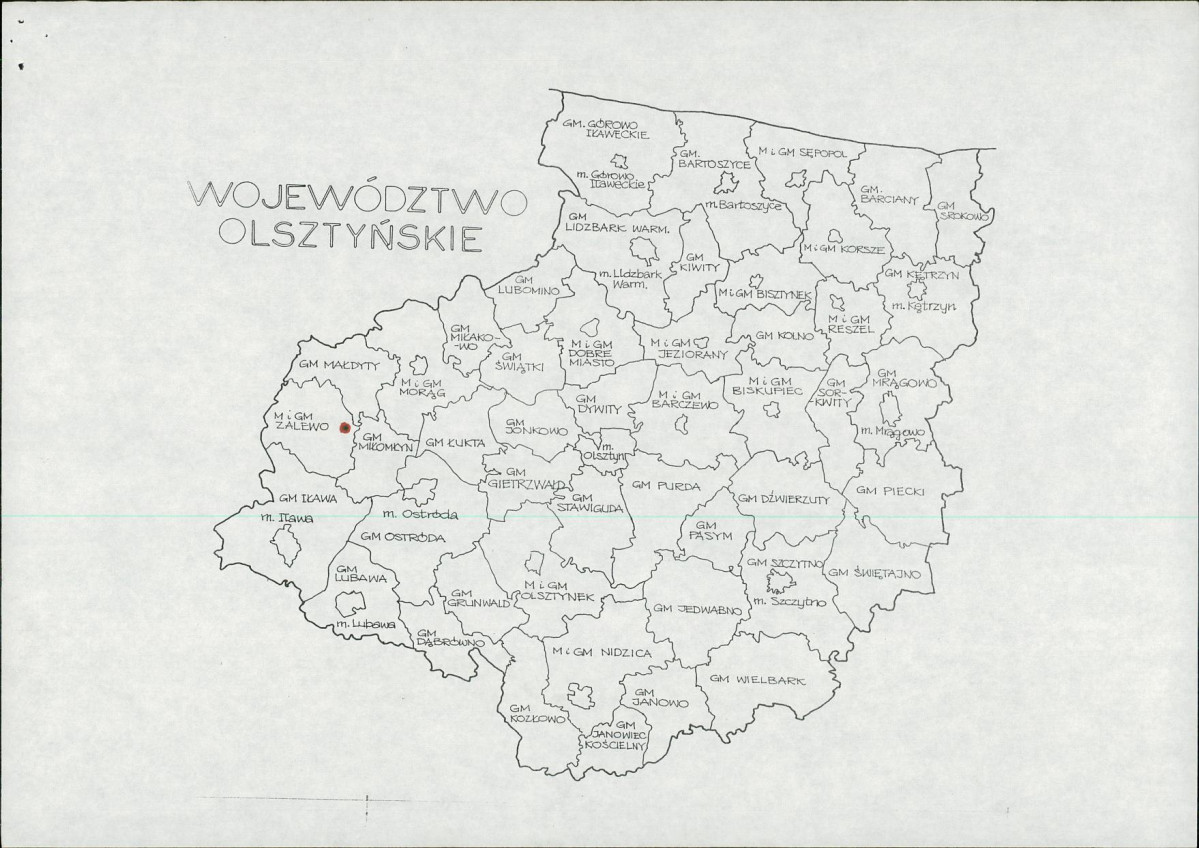 Karta zielona, skan nr 4