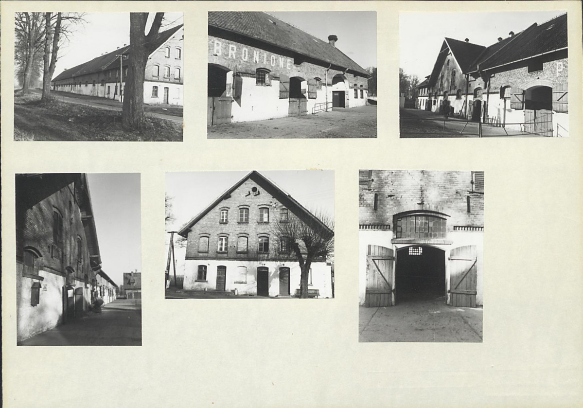 Karta biała, skan nr 7