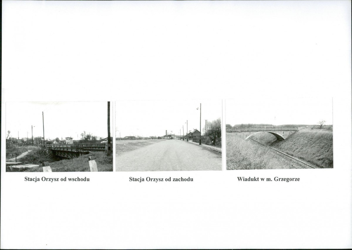 Karta biała, skan nr 6