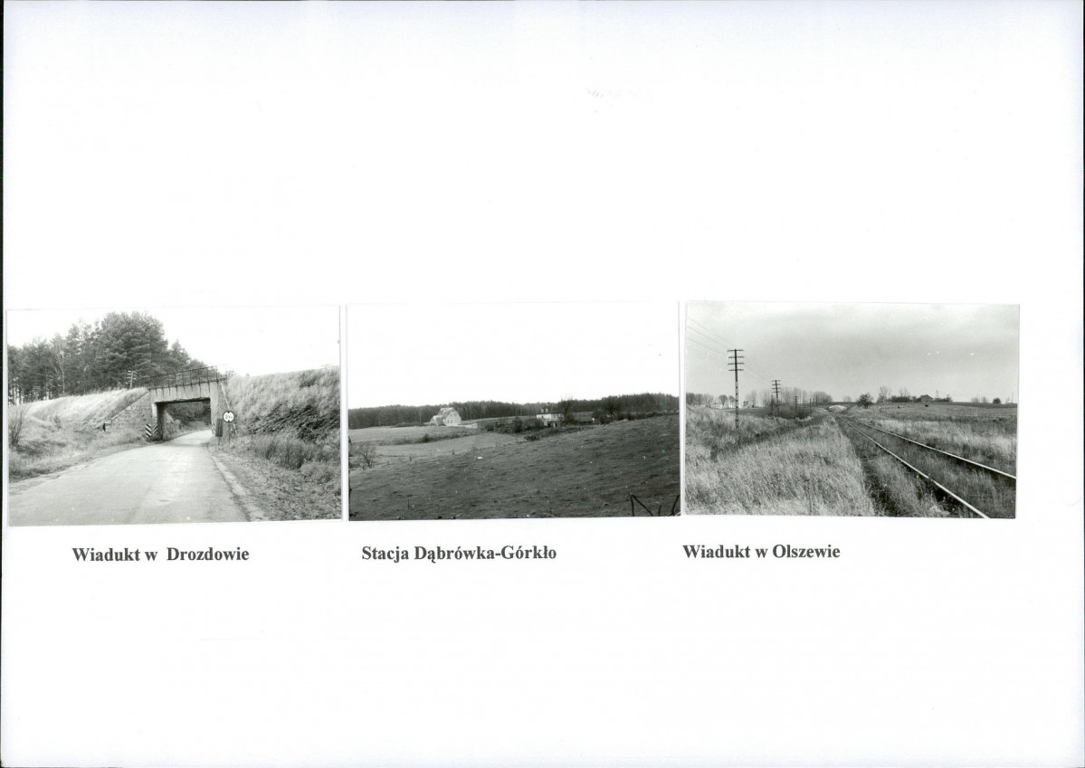 Karta biała, skan nr 8