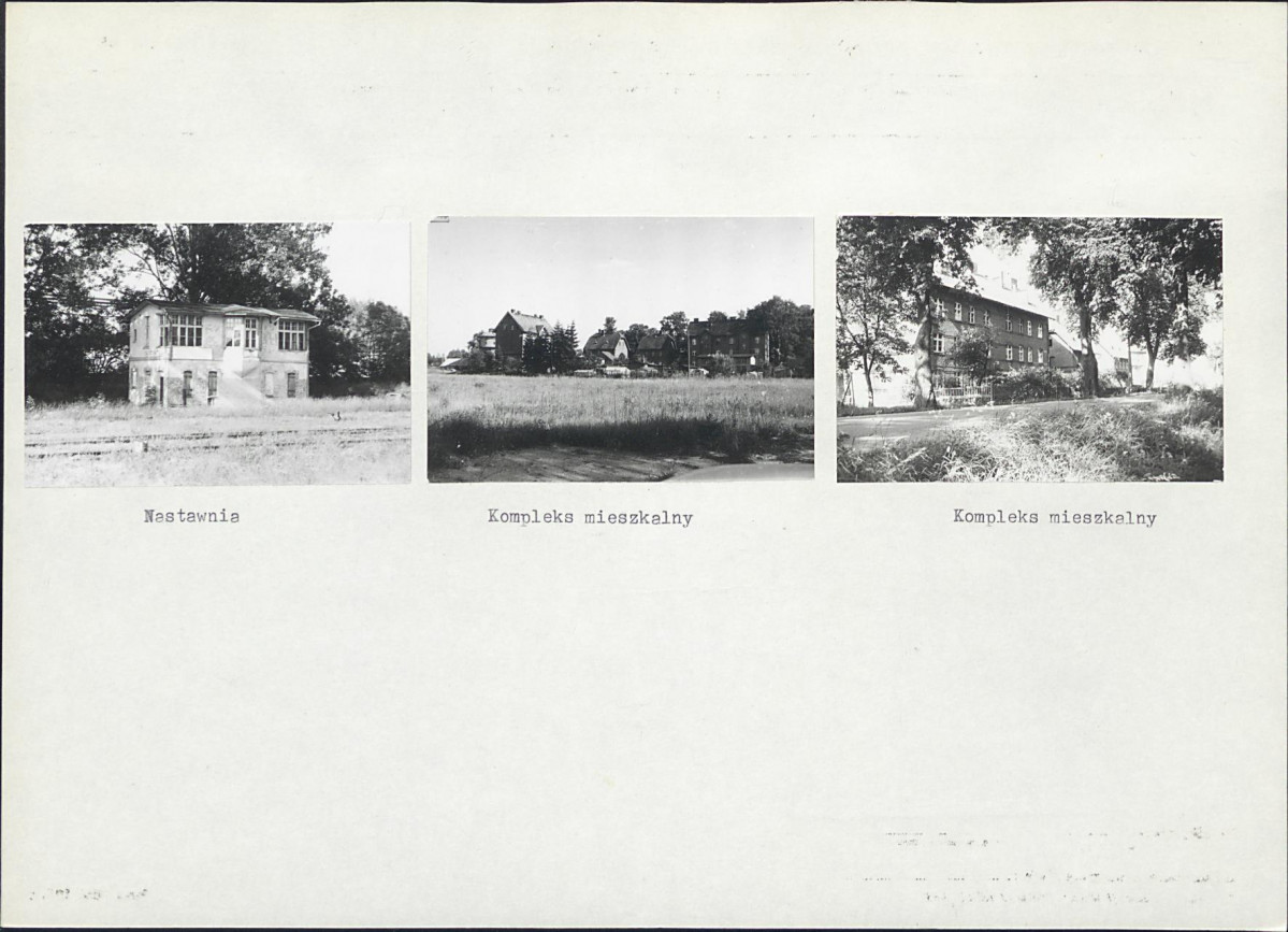 Karta biała, skan nr 8