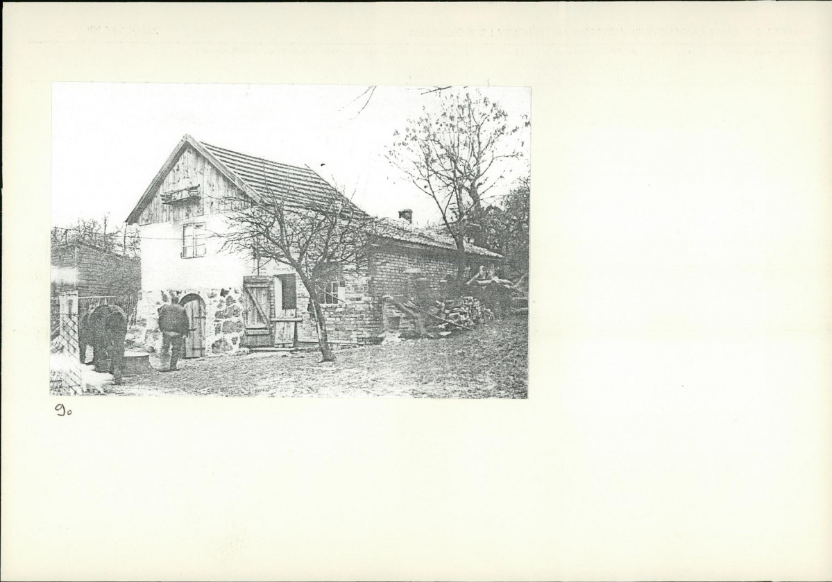 Karta biała, skan nr 10
