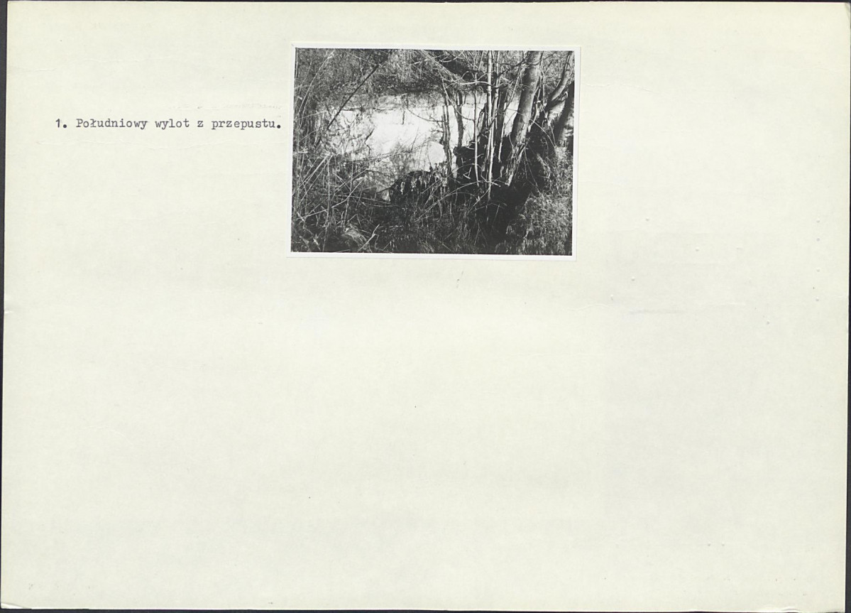 Karta biała, skan nr 6