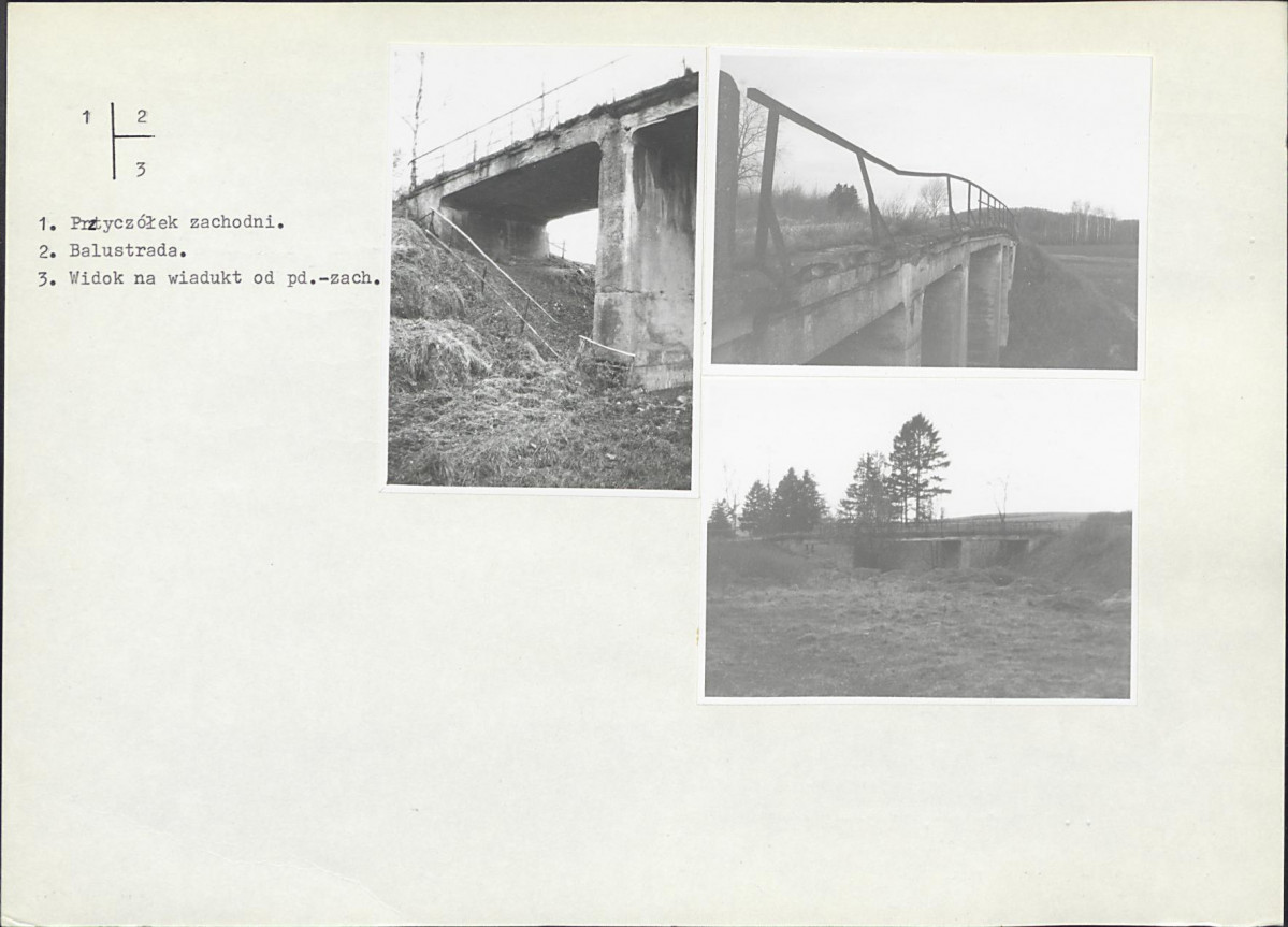 Karta biała, skan nr 6