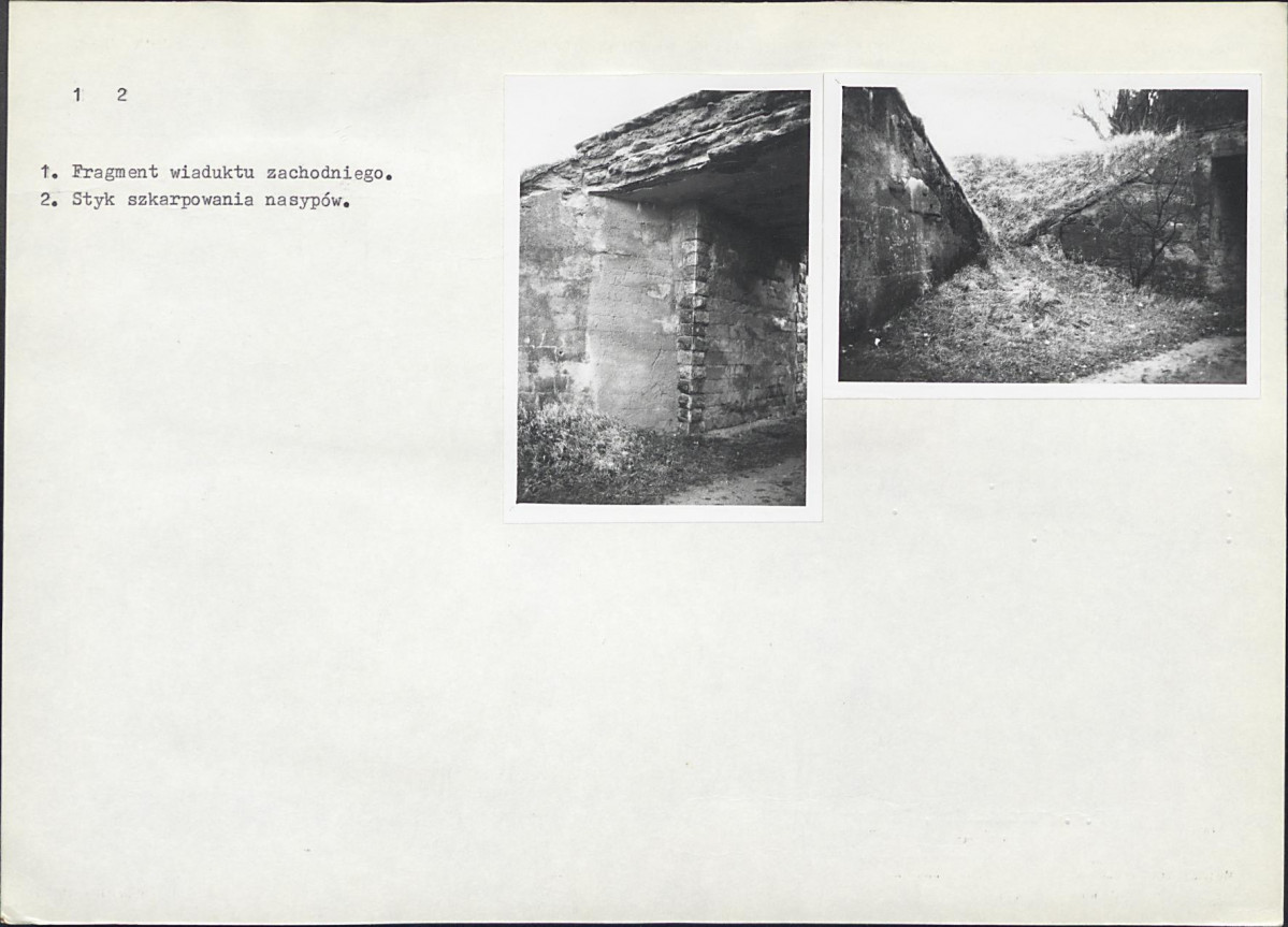 Karta biała, skan nr 6