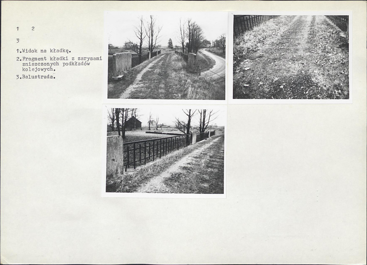 Karta biała, skan nr 6