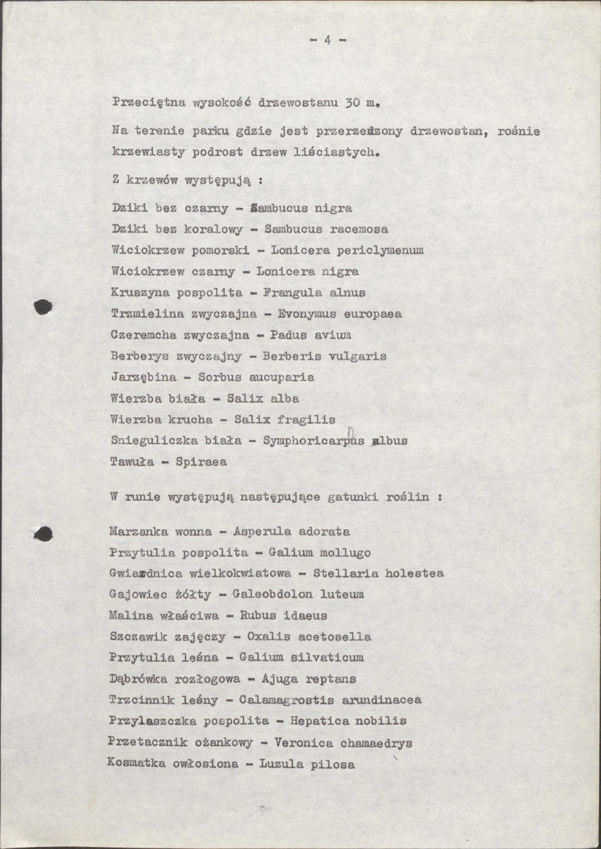 Ewidencja parkowa, skan nr 11